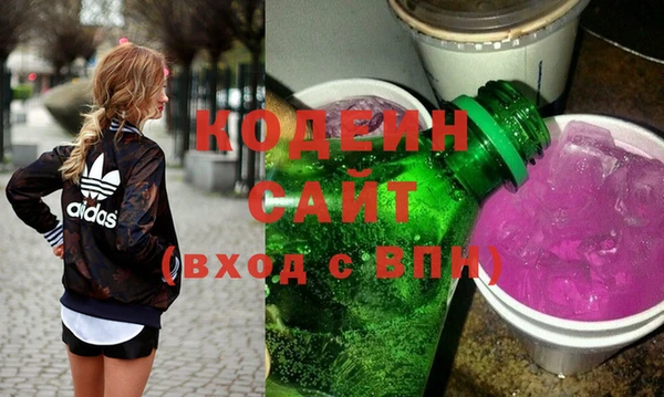прущие грибы Дмитриев