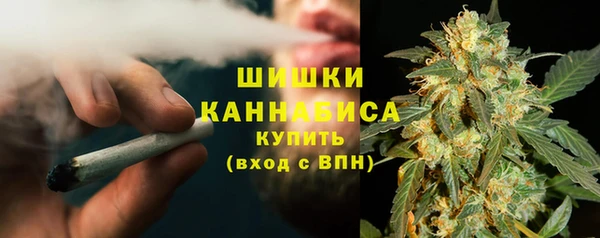 гидра Елабуга