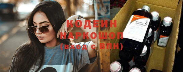 прущие грибы Дмитриев