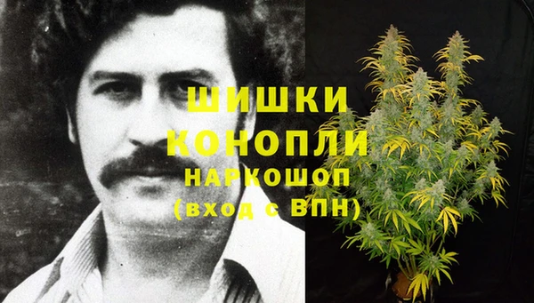 прущие грибы Дмитриев