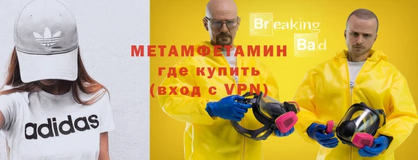 прущие грибы Дмитриев