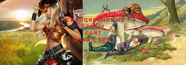 прущая мука Дмитровск