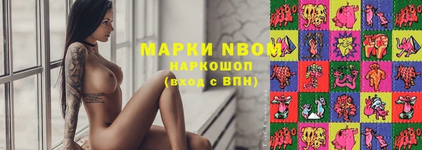 прущие грибы Дмитриев
