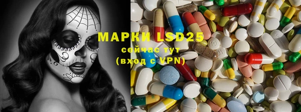 прущие грибы Дмитриев