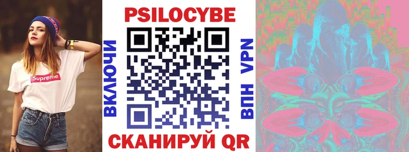 kraken tor  Славянск-на-Кубани  Галлюциногенные грибы Psilocybe 