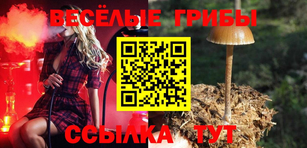 Галлюциногенные грибы MAGIC MUSHROOMS  Славянск-на-Кубани  Псилоцибиновые грибы прущие грибы 