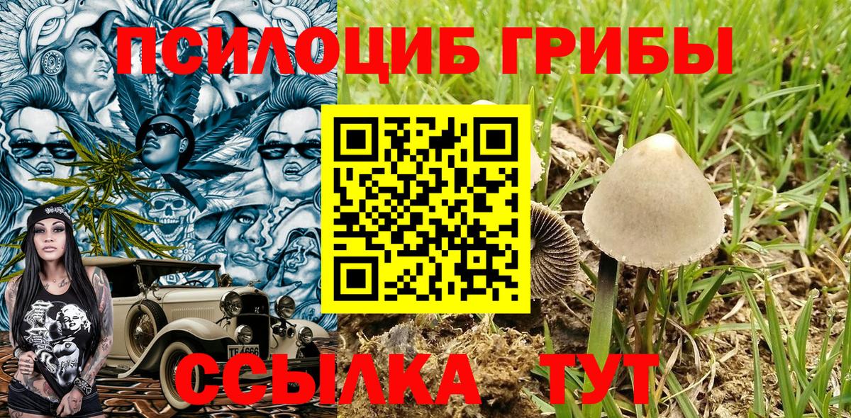 Псилоцибиновые грибы Psilocybe  Вход с VPN  Славянск-на-Кубани 